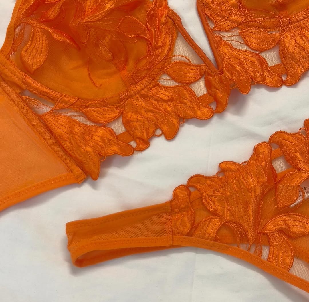 Women's Luxury Floral Applique Sheer Mesh Lingerie Set - Image 8